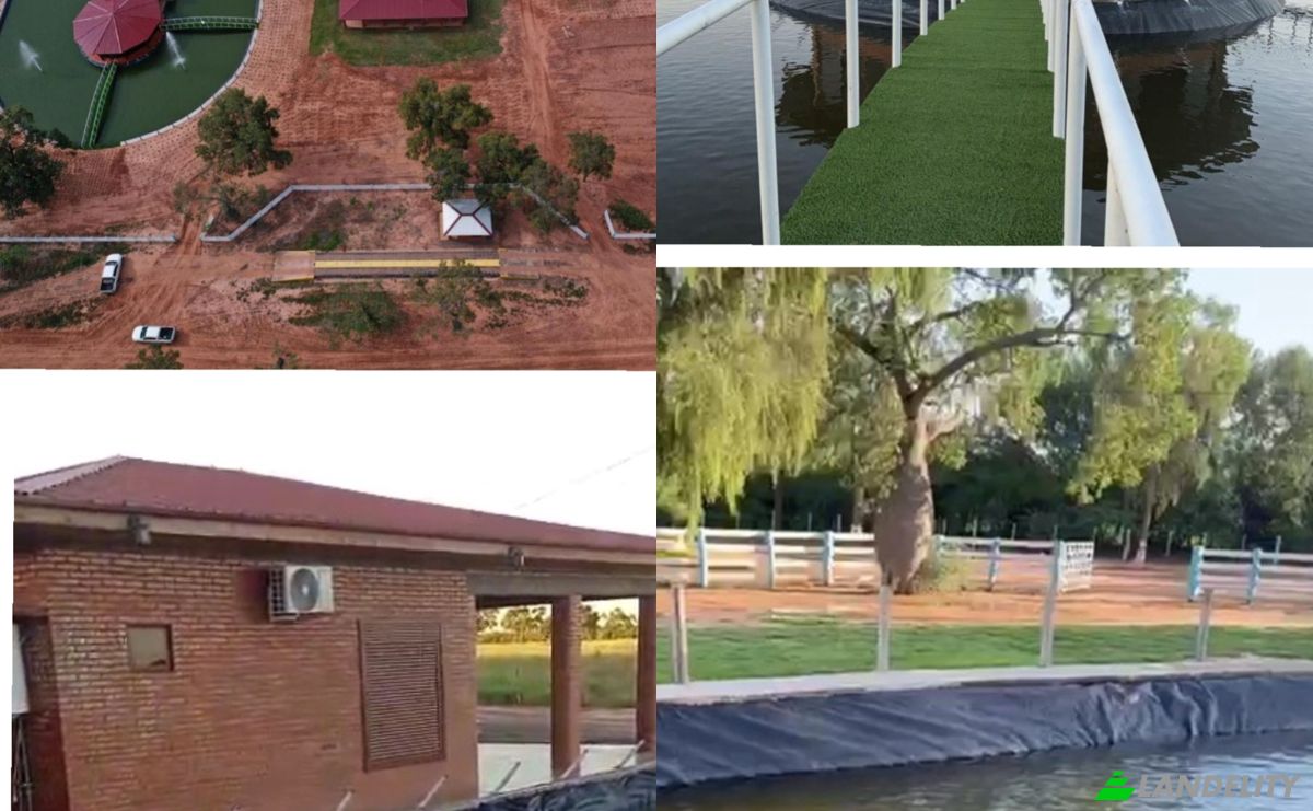 Investing/Development for Sale Zona Teniente Pico, 160204, Teniente Crovato, Mariscal Jose Felix Estigarribia, Boqueron department, Paraguay. Photo 1