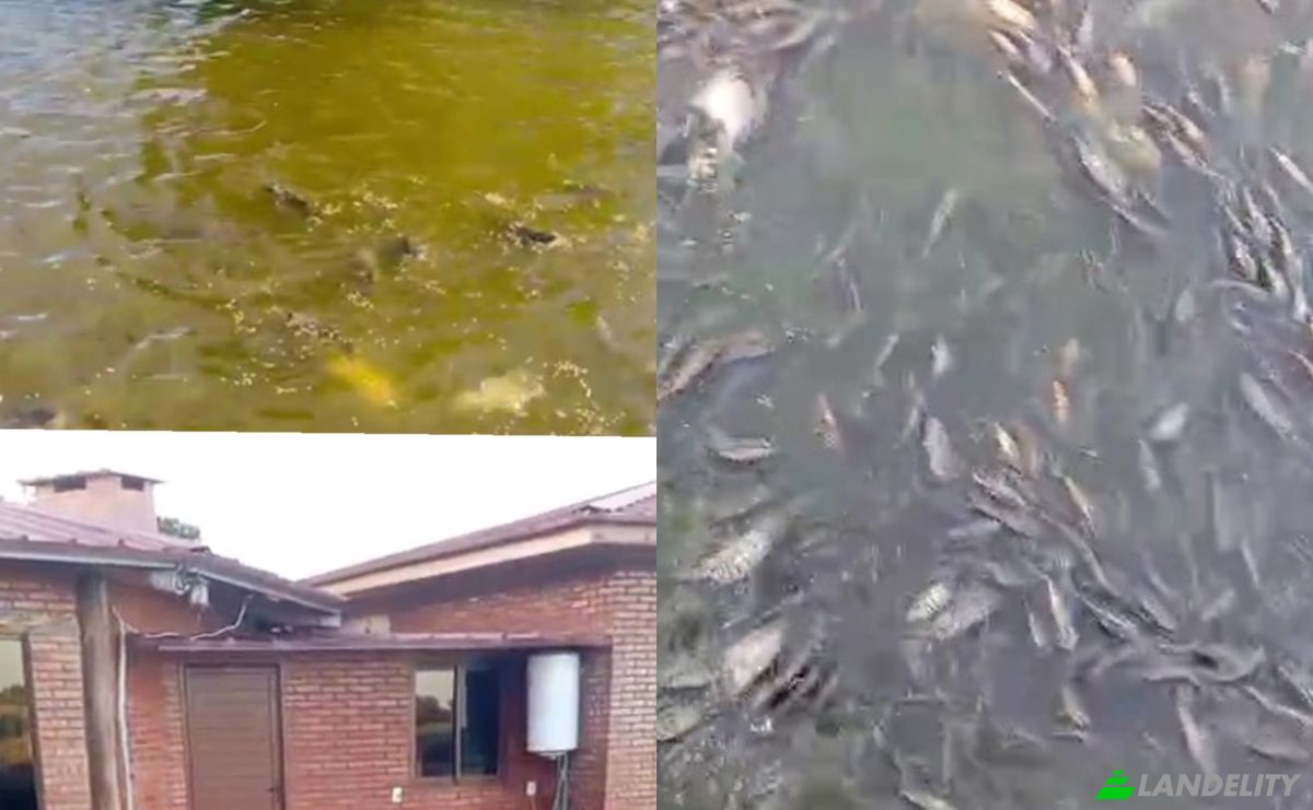 Investing/Development for Sale Zona Teniente Pico, 160204, Teniente Crovato, Mariscal Jose Felix Estigarribia, Boqueron department, Paraguay. Photo 2