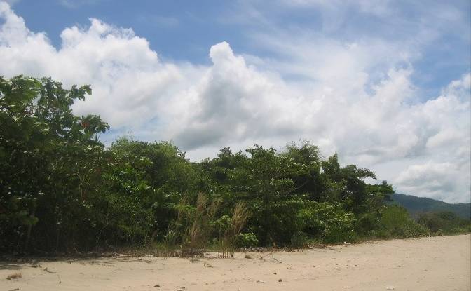 Land Lot for Sale Via Sin Nombre, Colon, Trujillo. Photo#2 Land Lot for Sale Via Sin Nombre, Colon, Trujillo. Photo#2