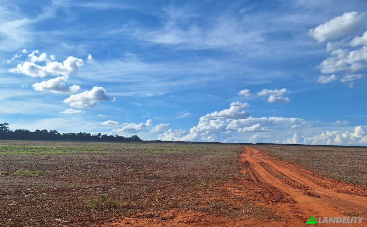 Investing/Development for Sale Via Sin Nombre, 071203, Isla Alta, General Artigas, Itapua Department, Paraguay. Photo 2