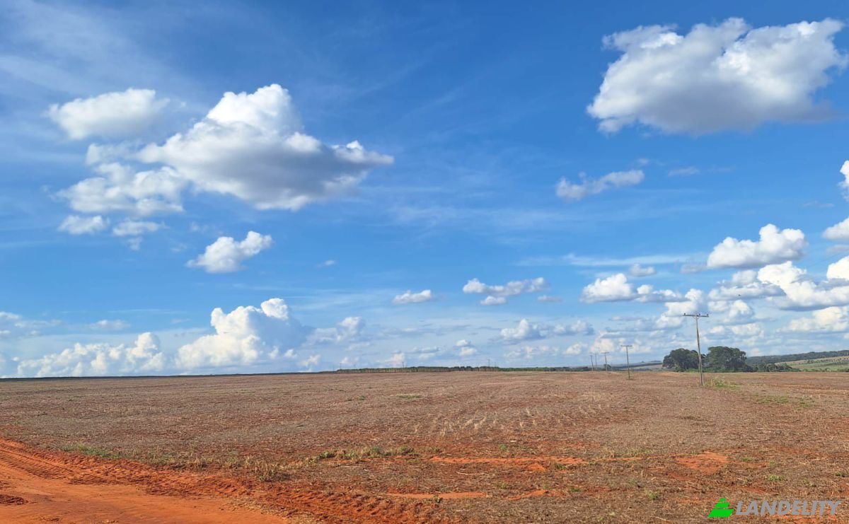 Investing/Development for Sale Via Sin Nombre, 071203, Isla Alta, General Artigas, Itapua Department, Paraguay. Photo 3