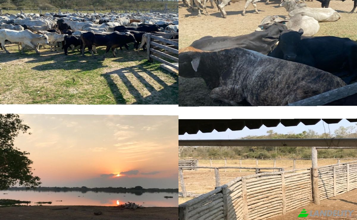 Investing/Development for Sale Via Sin Nombre, 150902, Estancia la Nena, General Jose Maria Bruguez, Presidente Hayes Department, Paraguay. Photo 1