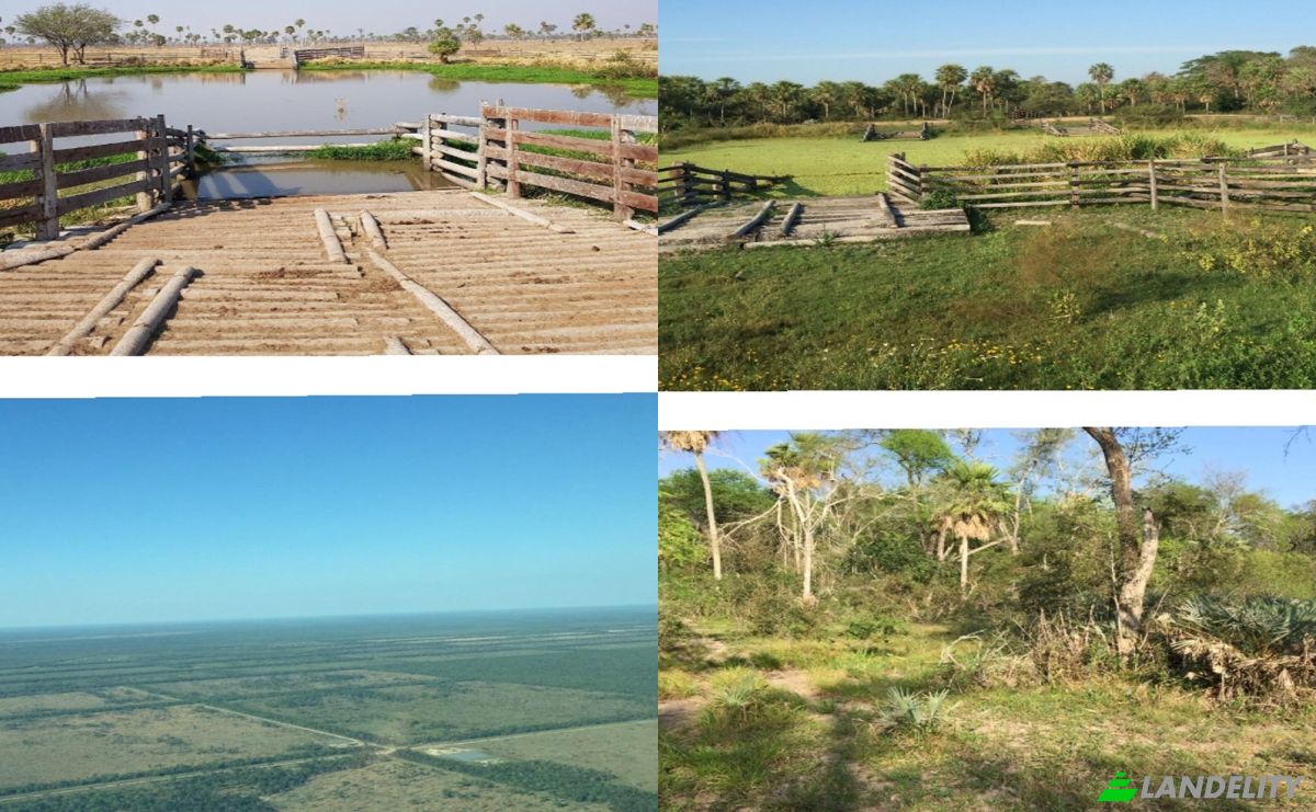 Investing/Development for Sale Via Sin Nombre, 150902, Estancia la Nena, General Jose Maria Bruguez, Presidente Hayes Department, Paraguay. Photo 2