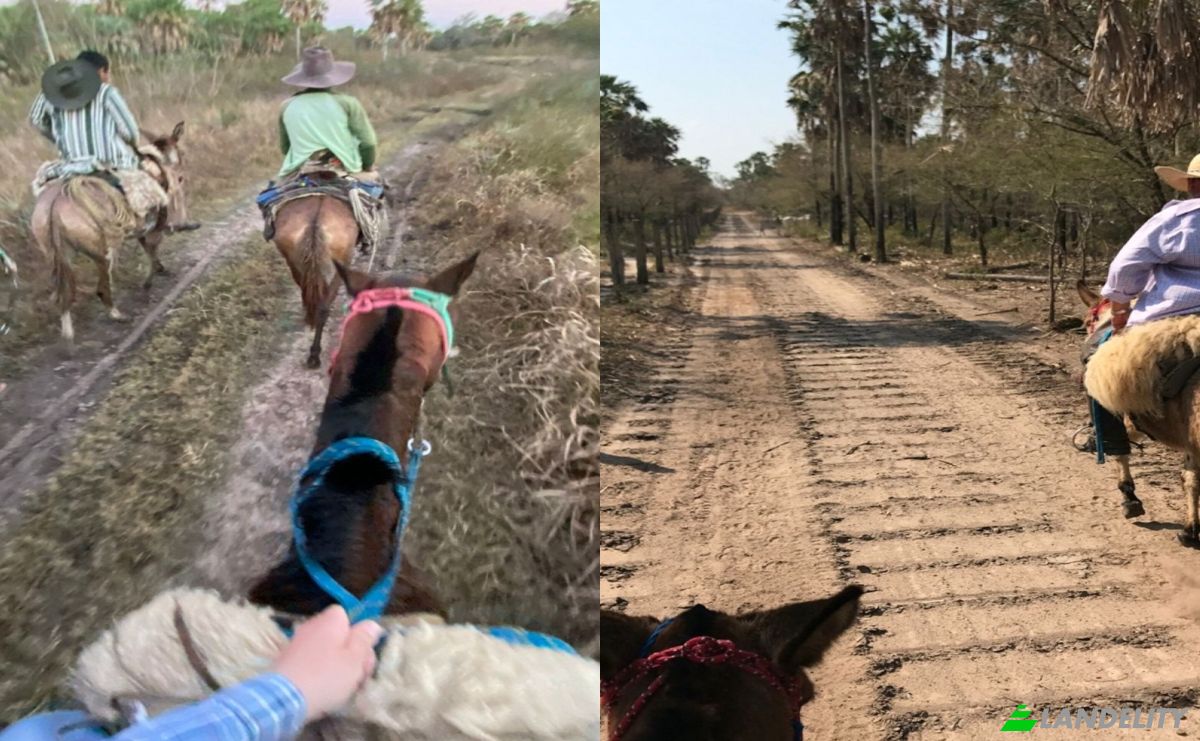 Investing/Development for Sale Via Sin Nombre, 150902, Estancia la Nena, General Jose Maria Bruguez, Presidente Hayes Department, Paraguay. Photo 4