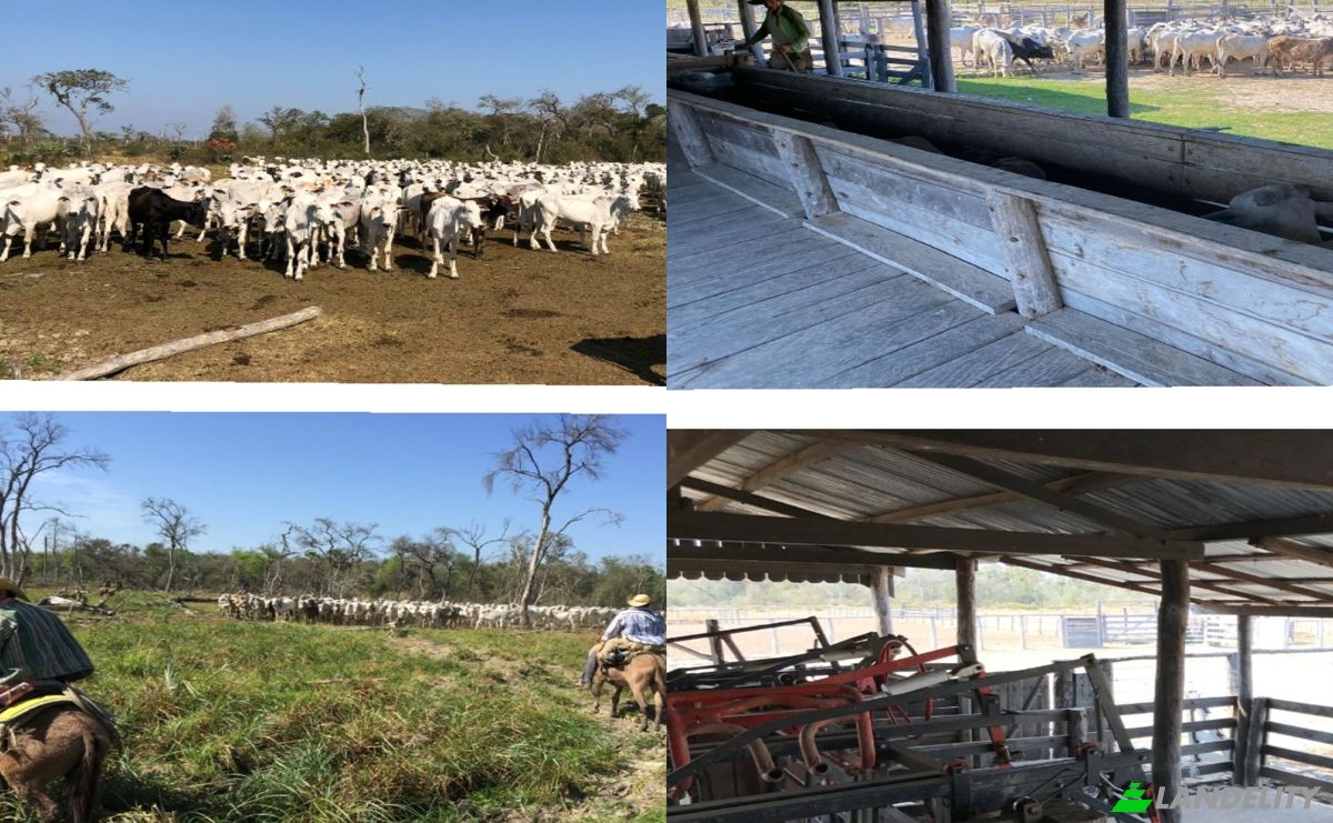 Investing/Development for Sale Via Sin Nombre, 150902, Estancia la Nena, General Jose Maria Bruguez, Presidente Hayes Department, Paraguay. Photo 5