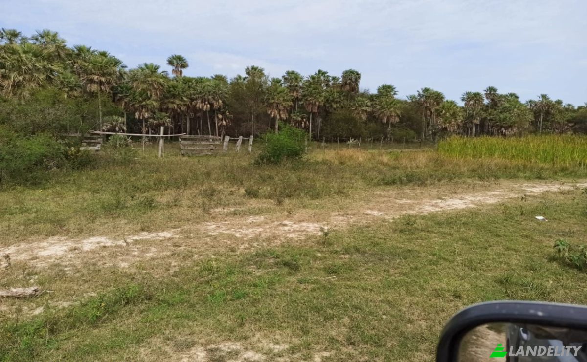 Investing/Development for Sale Estancia Lomas, 021308, Estancia Uruguaita, Villa del Rosario, San Pedro Department, Paraguay. Photo 4