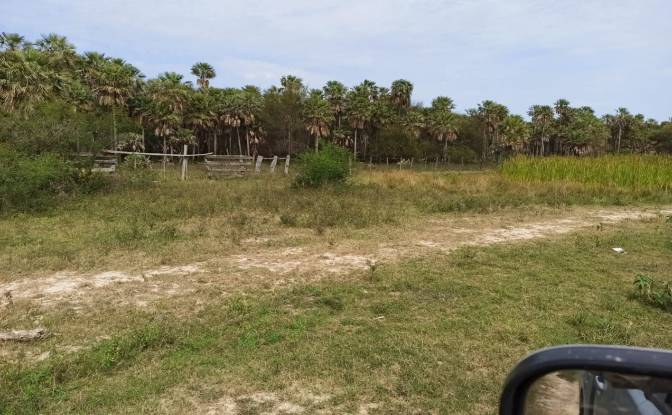 Investing/Development for Sale Estancia Lomas. Photo#4