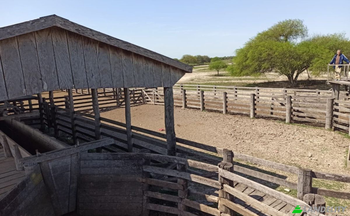 Investing/Development for Sale Estancia Lomas, 021308, Estancia Uruguaita, Villa del Rosario, San Pedro Department, Paraguay. Photo 6