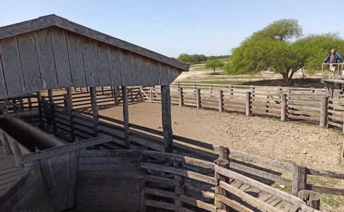 Investing/Development for Sale Estancia Lomas. Photo#6