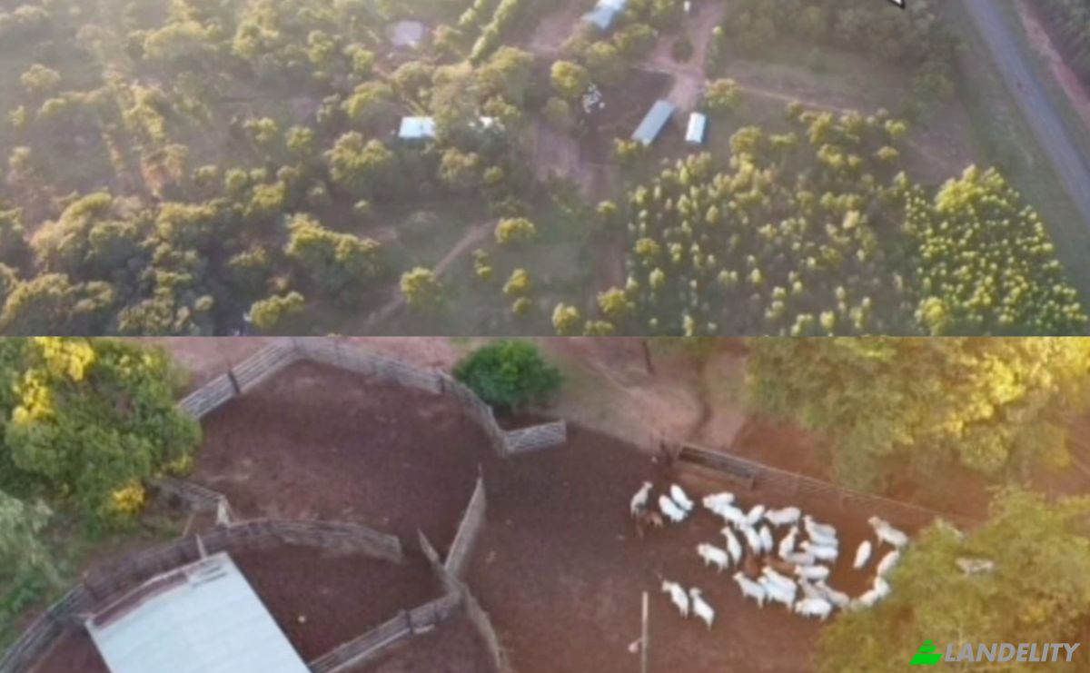 Investing/Development for Sale Via Sin Nombre, San Blas KoEti 140309, San Blas KoEti, Villa Curuguaty, Canindeyu Department, Paraguay. Photo 4
