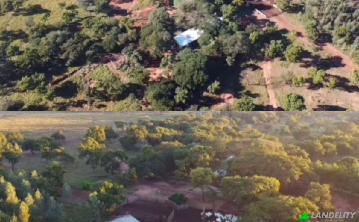 Investing/Development for Sale Via Sin Nombre, San Blas KoEti 140309, San Blas KoEti, Villa Curuguaty, Canindeyu Department, Paraguay. Photo 5