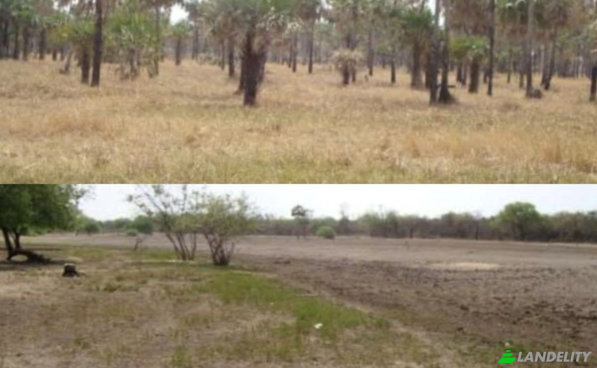 Investing/Development for Sale Zona Agua Dulce, 170403, Bahia Negra, Alto Paraguay Department, Paraguay. Photo 2