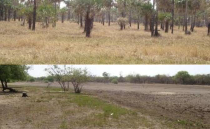 Investing/Development for Sale Zona Agua Dulce. Photo#2