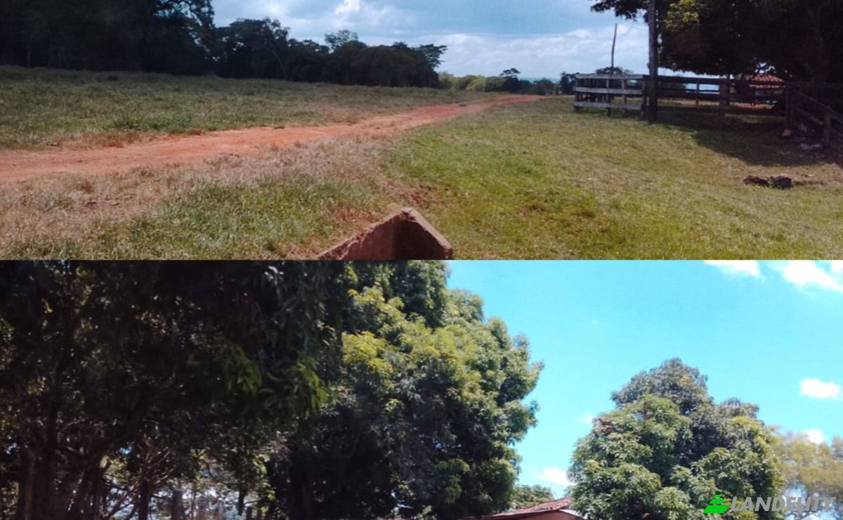 Farm/Ranch for Sale 090805 Piray, Piray, Mbuyapey, Paraguari Department, Paraguay. Photo 2