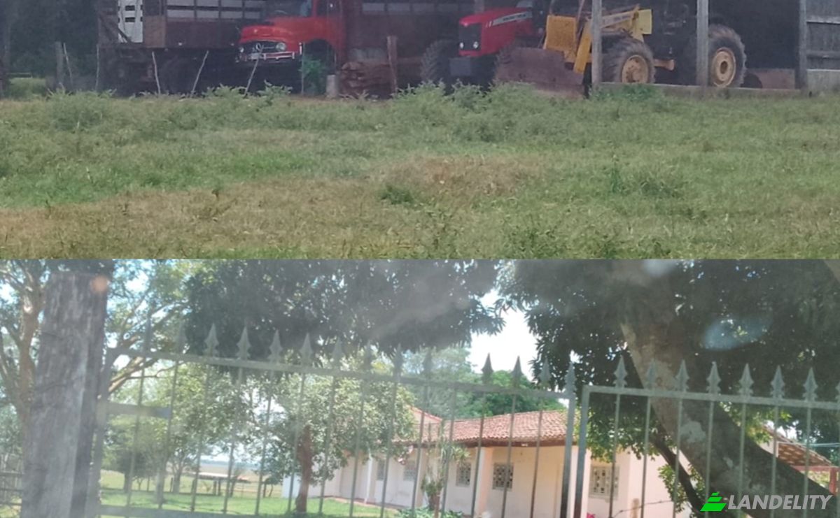Farm/Ranch for Sale 090805 Piray, Piray, Mbuyapey, Paraguari Department, Paraguay. Photo 3