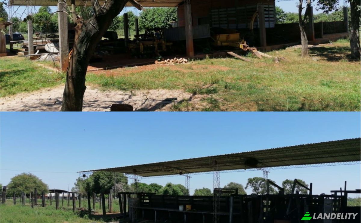 Investing/Development for Sale Via Sin Nombre, Careaga Kue, Guayaibi, San Pedro Department, Paraguay. Photo 3