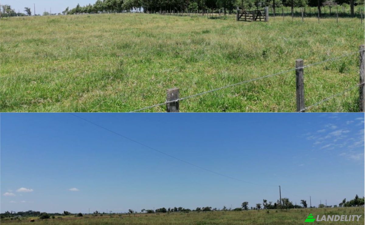 Investing/Development for Sale Via Sin Nombre, Careaga Kue, Guayaibi, San Pedro Department, Paraguay. Photo 5