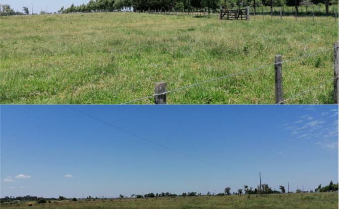 Investing/Development for Sale Via Sin Nombre. Photo#5 Investing/Development for Sale Via Sin Nombre. Photo#5
