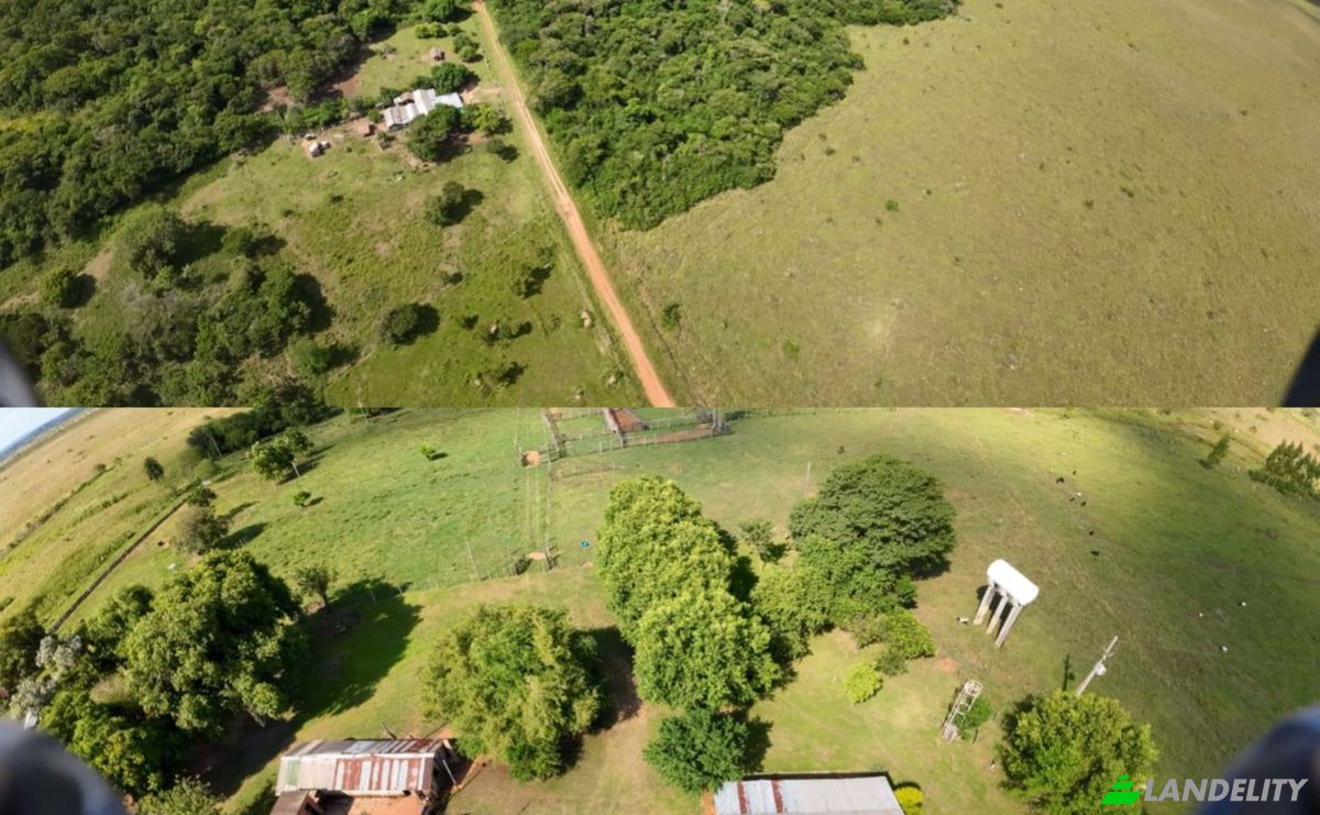 Investing/Development for Sale Via Sin Nombre, Careaga Kue, Guayaibi, San Pedro Department, Paraguay. Photo 7