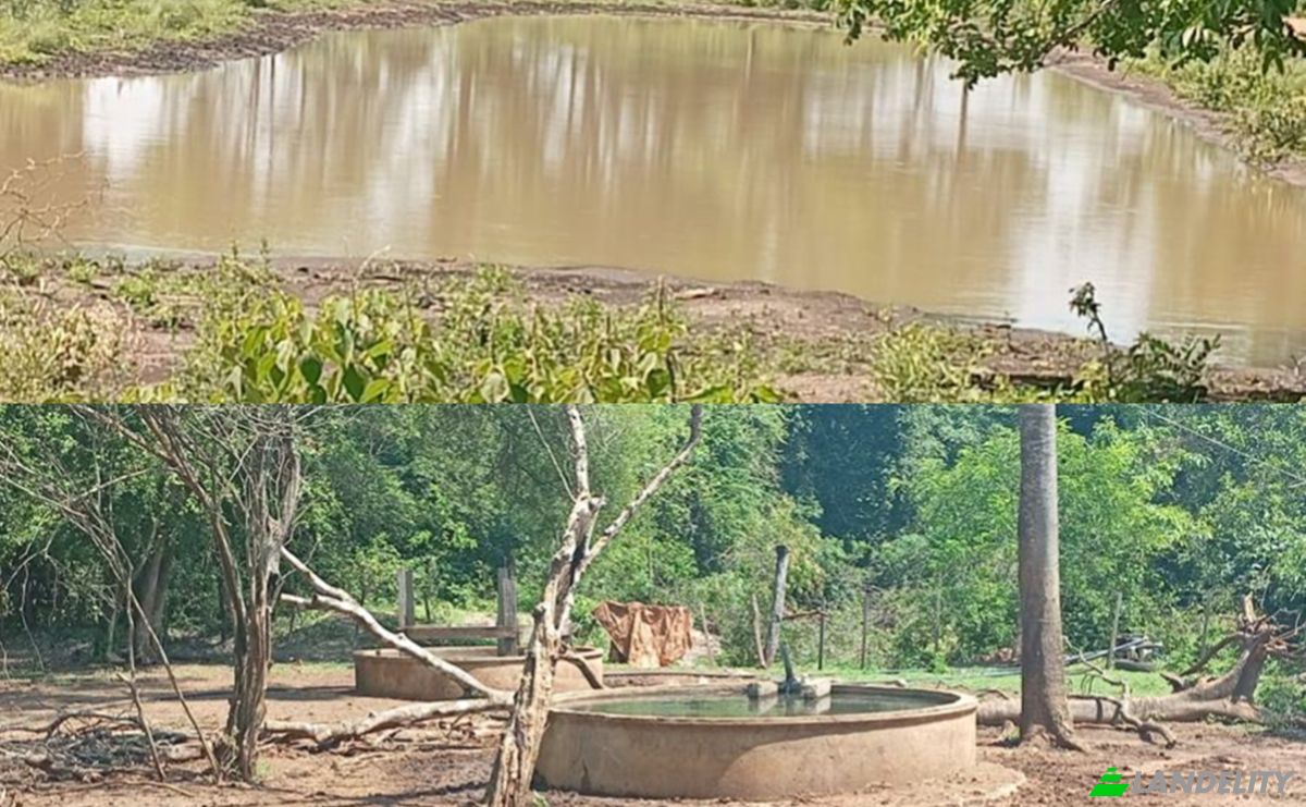 Investing/Development for Sale Via Sin Nombre, 021612, Santo Domingo 1, Guayaibi, San Pedro Department, Paraguay. Photo 2