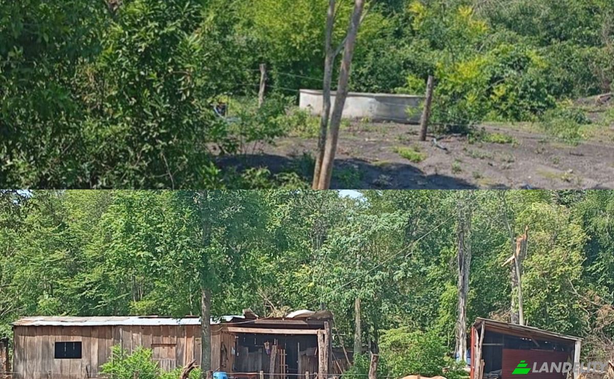 Investing/Development for Sale Via Sin Nombre, 021612, Santo Domingo 1, Guayaibi, San Pedro Department, Paraguay. Photo 3