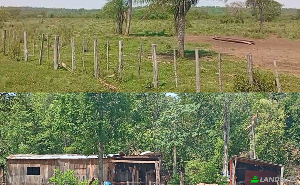 Investing/Development for Sale Via Sin Nombre, 021612, Santo Domingo 1, Guayaibi, San Pedro Department, Paraguay. Photo 4