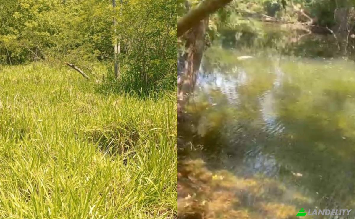 Investing/Development for Sale Via Sin Nombre, 021612, Santo Domingo 1, Guayaibi, San Pedro Department, Paraguay. Photo 5