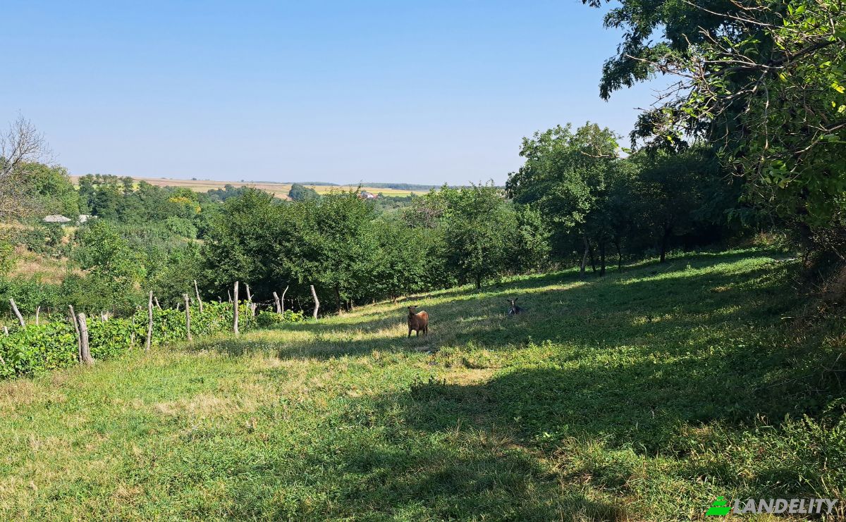 Land Lot for Sale Str Eroilor 11, Hlapesti, Dragomiresti, Neamt County, Romania. Photo 1
