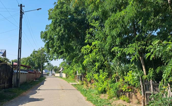 Land Lot for Sale Str Eroilor 11, Hlapesti. Photo#10