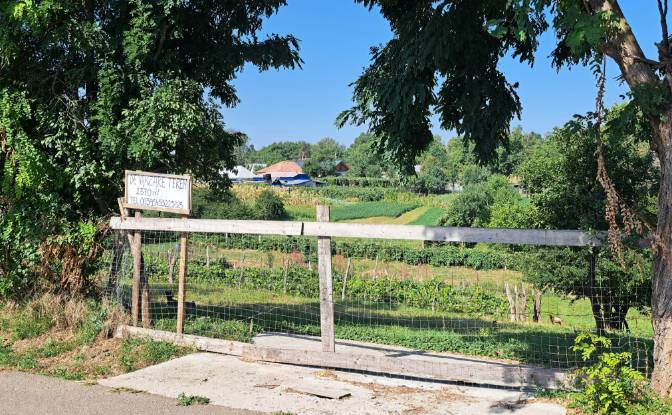 Land Lot for Sale Str Eroilor 11, Hlapesti. Photo#11