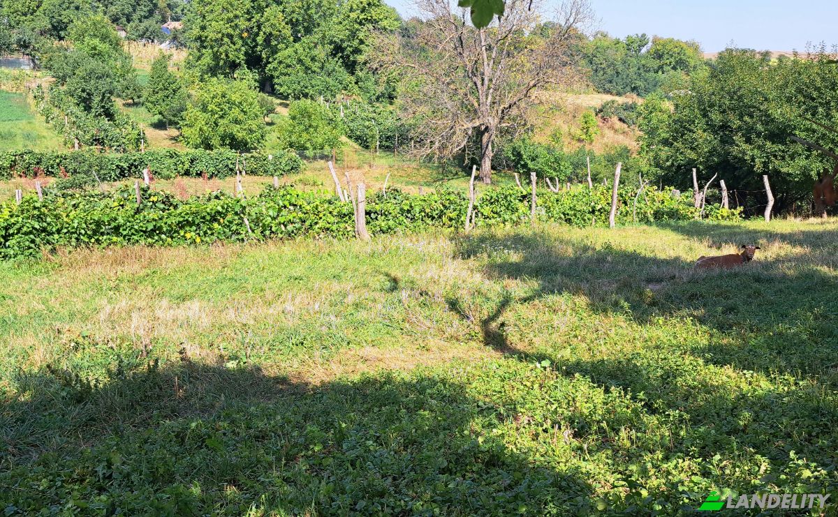 Land Lot for Sale Str Eroilor 11, Hlapesti, Dragomiresti, Neamt County, Romania. Photo 12