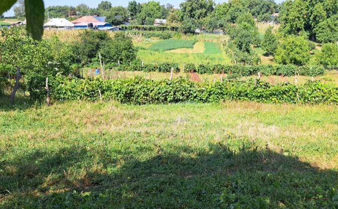 Land Lot for Sale Str Eroilor 11, Hlapesti. Photo#13
