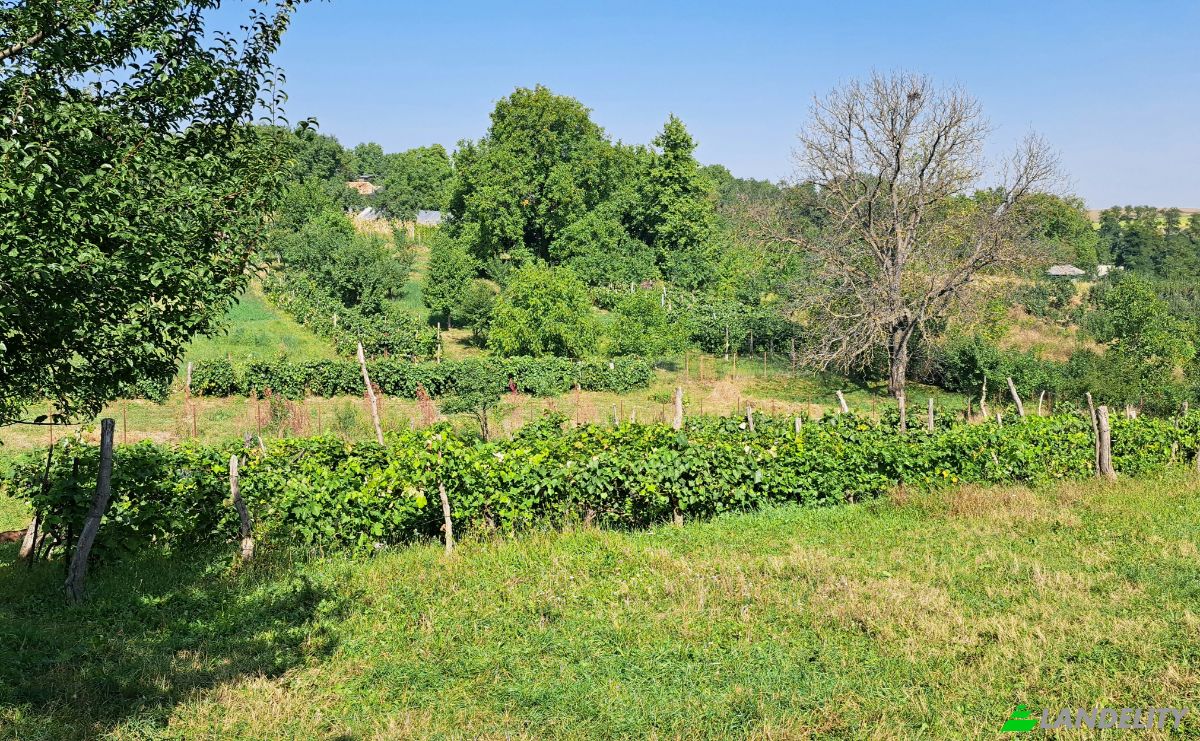 Land Lot for Sale Str Eroilor 11, Hlapesti, Dragomiresti, Neamt County, Romania. Photo 2