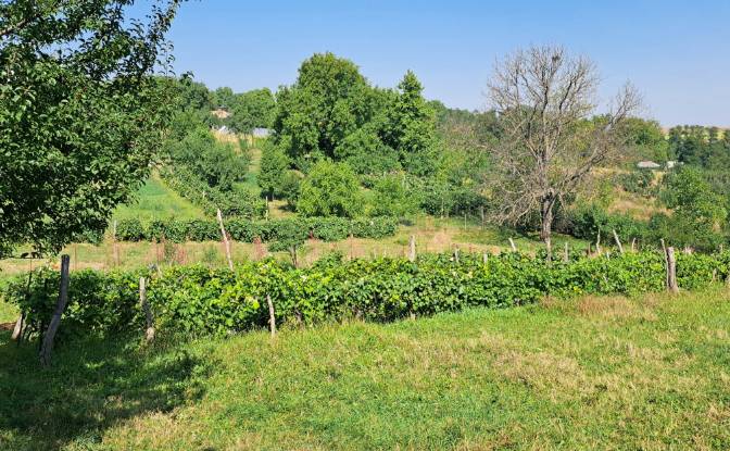 Land Lot for Sale Str Eroilor 11, Hlapesti. Photo#2