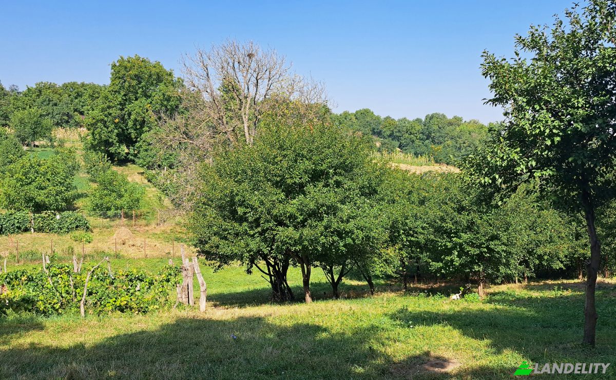Land Lot for Sale Str Eroilor 11, Hlapesti, Dragomiresti, Neamt County, Romania. Photo 5