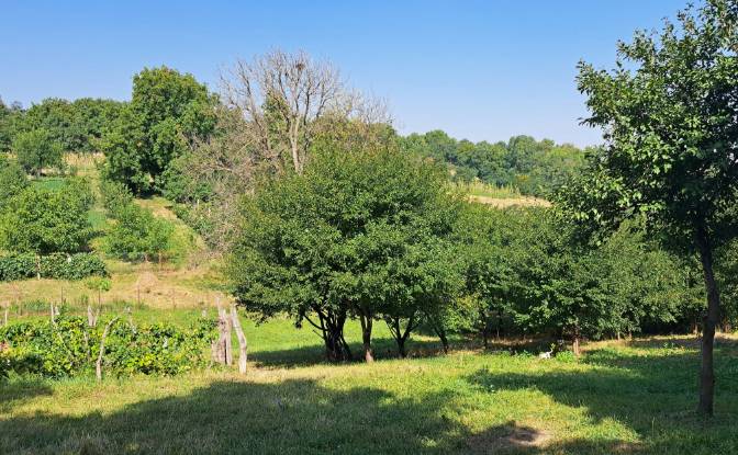Land Lot for Sale Str Eroilor 11, Hlapesti. Photo#5