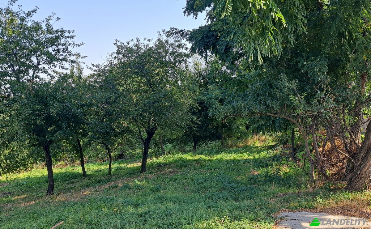Land Lot for Sale Str Eroilor 11, Hlapesti, Dragomiresti, Neamt County, Romania. Photo 6