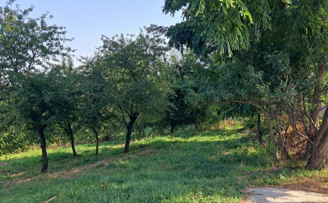 Land Lot for Sale Str Eroilor 11, Hlapesti. Photo#6