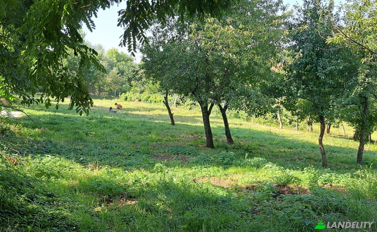 Land Lot for Sale Str Eroilor 11, Hlapesti, Dragomiresti, Neamt County, Romania. Photo 8
