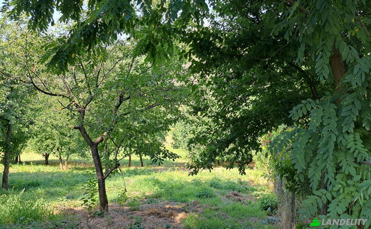 Land Lot for Sale Str Eroilor 11, Hlapesti, Dragomiresti, Neamt County, Romania. Photo 9