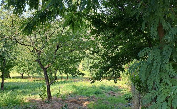 Land Lot for Sale Str Eroilor 11, Hlapesti. Photo#9