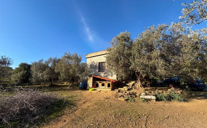 Lote de terreno en venta 09041 Dolianova. Foto#12
