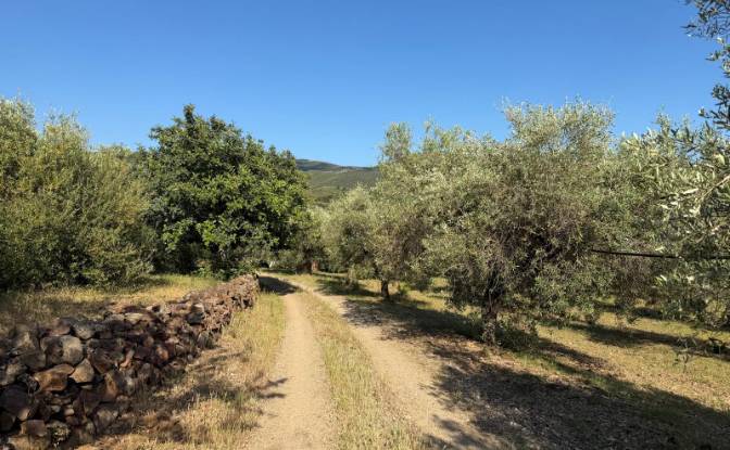Lote de terreno en venta 09041 Dolianova. Foto#2