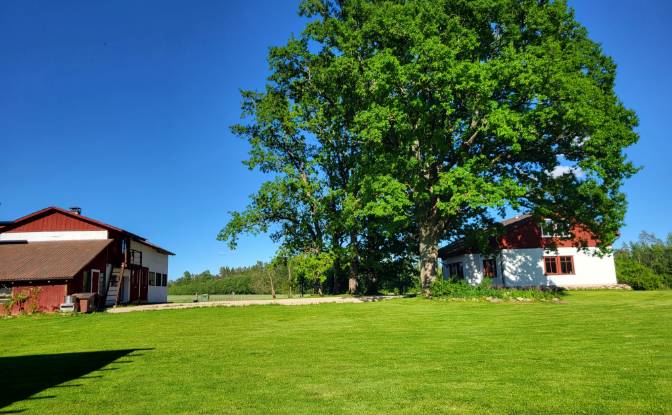 Bauernhof/Ranch zu verkaufen Vaidavas pagasts. Foto#4 Bauernhof/Ranch zu verkaufen Vaidavas pagasts. Foto#4