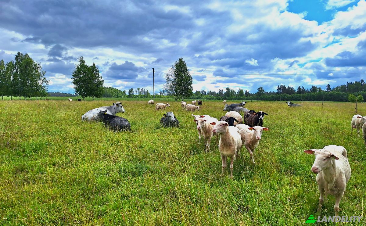 Bauernhof/Ranch zu verkaufen Vaidavas pagasts, Valmieras novads, LV-4228, Vaidava, Vaidava Parish, Valmiera Municipality, Latvia. Foto 18