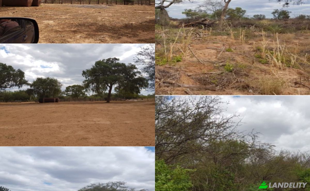 Investing/Development for Sale Zona la Patria, 160204, Estancia El Dorado, Mariscal Jose Felix Estigarribia, Boqueron department, Paraguay. Photo 2
