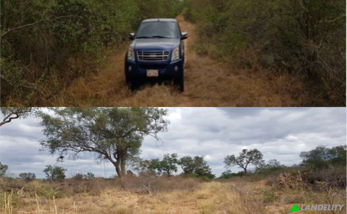 Investing/Development for Sale Zona la Patria, 160204, Estancia El Dorado, Mariscal Jose Felix Estigarribia, Boqueron department, Paraguay. Photo 3