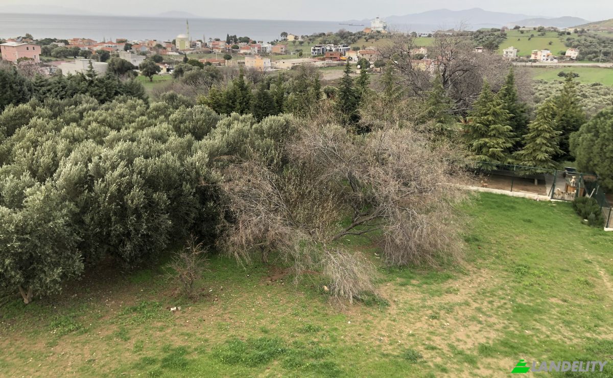 Lote de terreno en venta Kozbeyli Mh, Kozbeyli Koyu Kumeevleri No:562, 35680 Foca Izmir, Cumhuriyet, Foca, Izmir, Turkiye. Foto 10