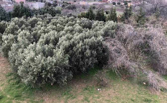 Lote de terreno en venta Kozbeyli Mh. Foto#12