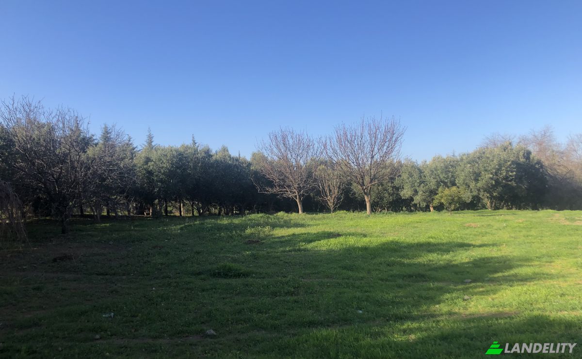 Lote de terreno en venta Kozbeyli Mh, Kozbeyli Koyu Kumeevleri No:562, 35680 Foca Izmir, Cumhuriyet, Foca, Izmir, Turkiye. Foto 15